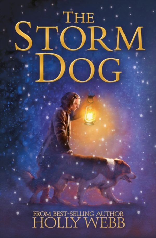 Cover Art for 9781788950459, Storm Dog by Holly Webb