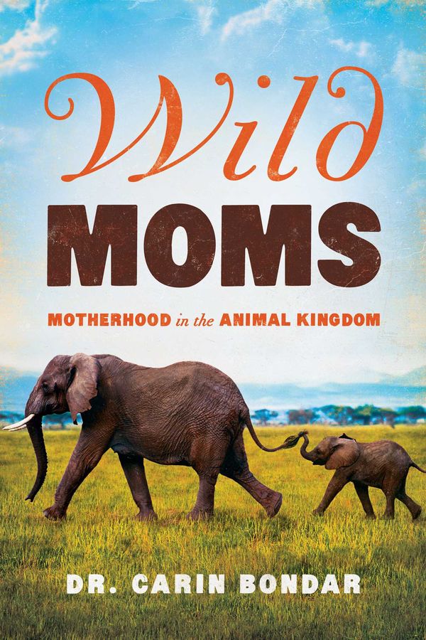 Cover Art for 9781681776651, Wild Moms - Motherhood in the Animal Kingdom by Carin Bondar