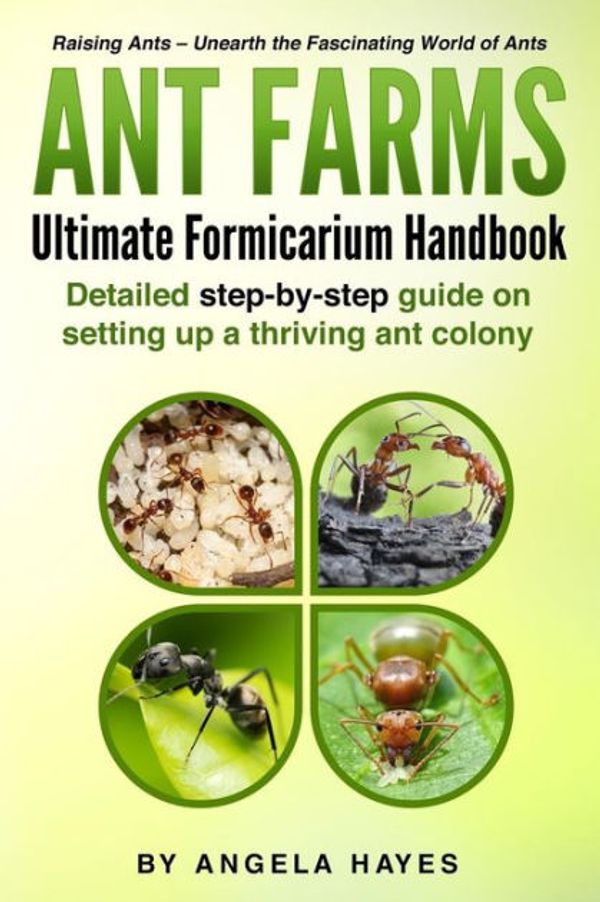 Cover Art for 9781986553391, Ant Farms - The Ultimate Formicarium Handbook: Detailed Step-by-Step Guide to Setting Up a Thriving Ant Colony by Angela Hayes