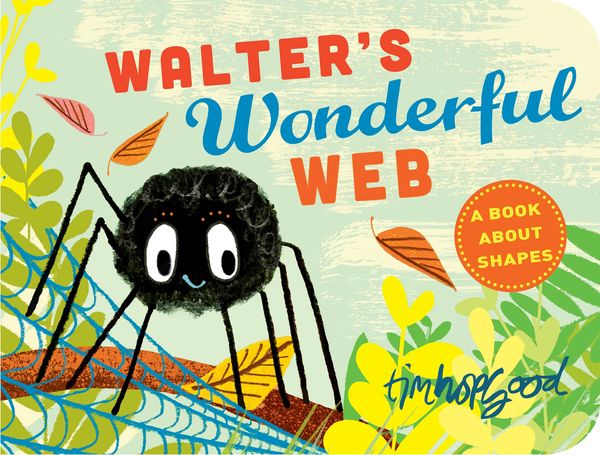 Cover Art for 9781447277101, Walter's Wonderful Web by Tim Hopgood