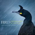 Cover Art for 9780008175238, Bird Photographer of the Year by Bird Photographer of the Year