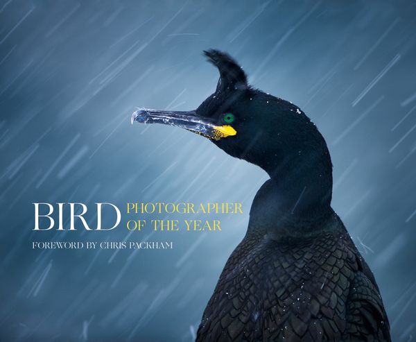 Cover Art for 9780008175238, Bird Photographer of the Year by Bird Photographer of the Year