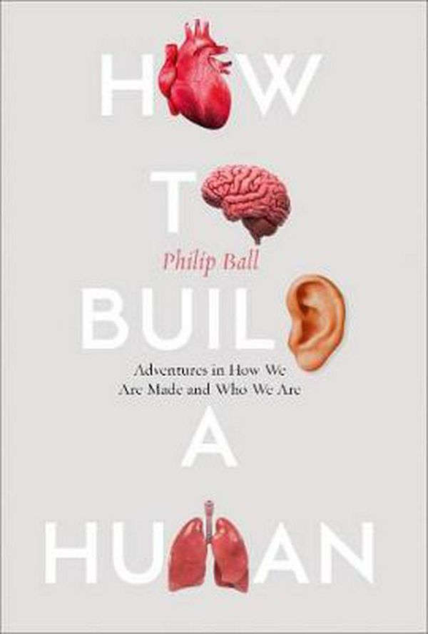 Cover Art for 9780008331788, How to Build a Human: Adventures in How We Are Made and Who We Are by Philip Ball