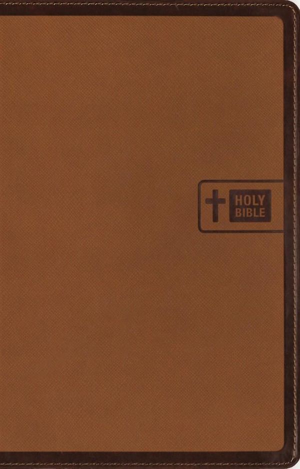 Cover Art for 9780310751229, NIV Bible for Teens by Zondervan, Zondervan Publishing