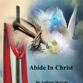 Cover Art for 9780990333012, Abide in Christ by Andrew Murray