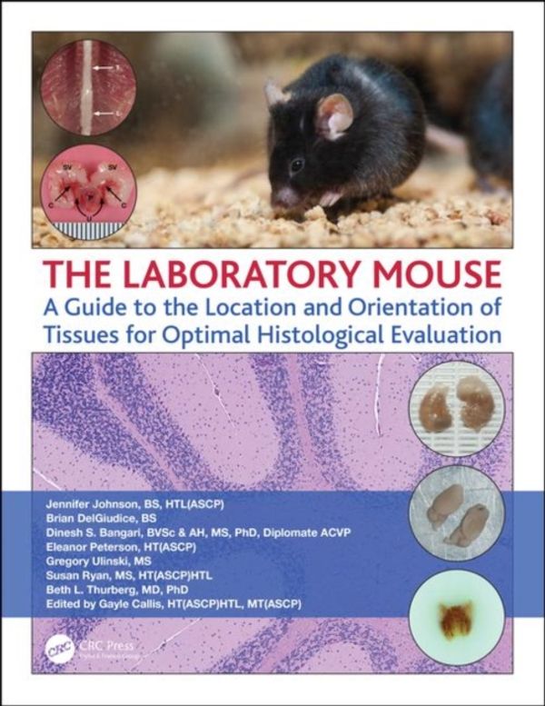 Cover Art for 9780367177751, The Laboratory Mouse: A Guide to the Location and Orientation of Tissues for Optimal Histological Evaluation by Johnson, Jennifer, DelGiudice, Brian, Bangari, Dinesh, Peterson, Eleanor, Ulinski, Gregory, Ryan, Susan, Thurberg, Beth
