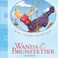 Cover Art for 9781616262563, Look Out, Lancaster County by Wanda E. Brunstetter