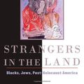 Cover Art for 9780674019423, Strangers in the Land by Eric J. Sundquist