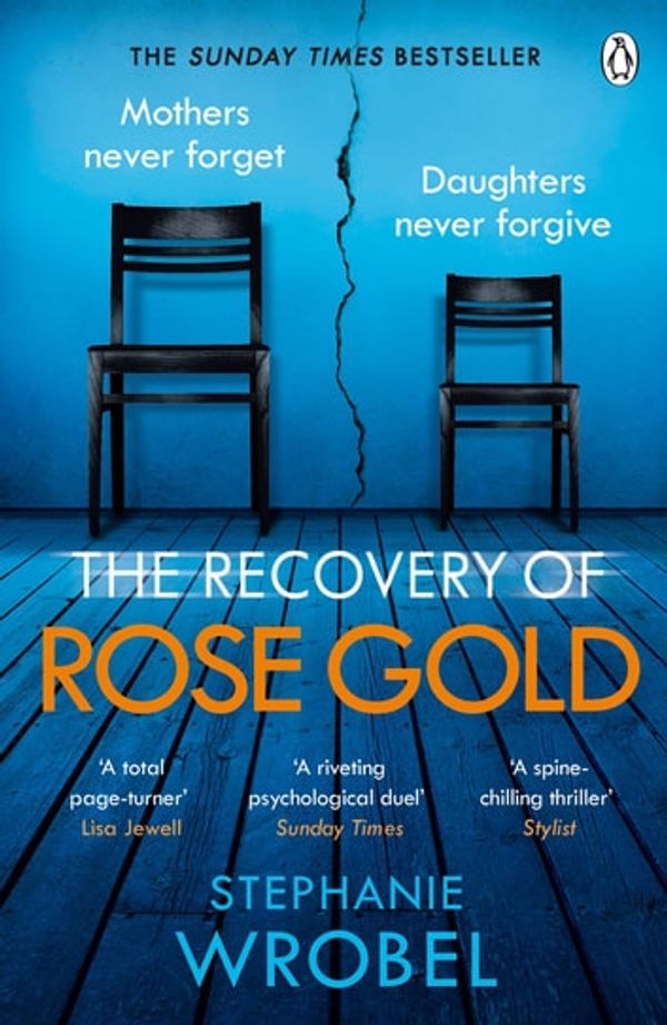 Cover Art for 9781405943543, The Recovery of Rose Gold by Stephanie Wrobel