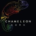 Cover Art for B07L3FYMJ7, Chameleon Aura by Billy Chapata