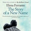 Cover Art for 9781410491176, The Story of a New Name by Elena Ferrante