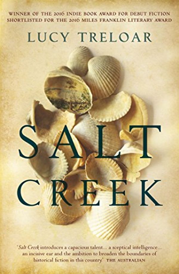 Cover Art for B00XMLM9M6, Salt Creek by Lucy Treloar