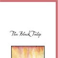 Cover Art for 9780554260815, The Black Tulip by Alexandre Dumas
