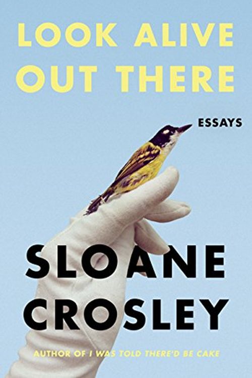 Cover Art for 9781443445061, Look Alive Out There by Sloane Crosley