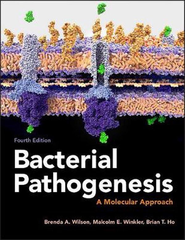 Cover Art for 9781555819408, Bacterial Pathogenesis: a Molecular Approach (ASM Books) by Brenda A. Wilson, Malcolm Winkler, Brian T. Ho
