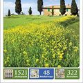 Cover Art for 9781409326946, DK Eyewitness Travel Guide: Italy by DKPublishing