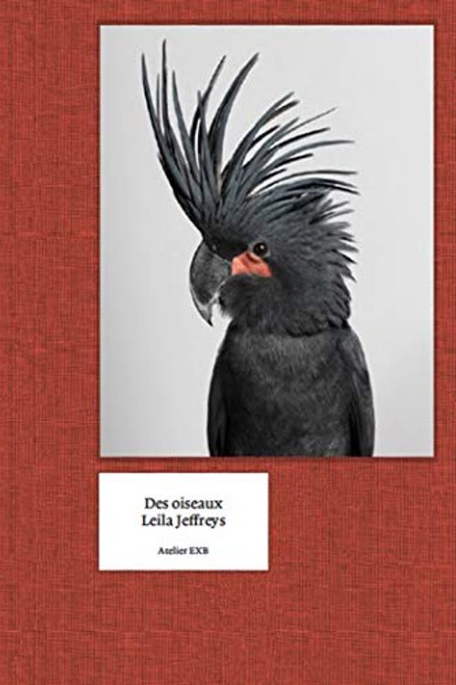 Cover Art for 9782365112321, Des Oiseaux - Leila Jeffreys by Leila Jeffreys, Guilhem Lesaffre