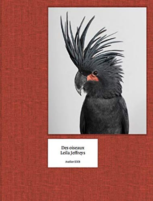 Cover Art for 9782365112321, Des Oiseaux - Leila Jeffreys by Leila Jeffreys, Guilhem Lesaffre