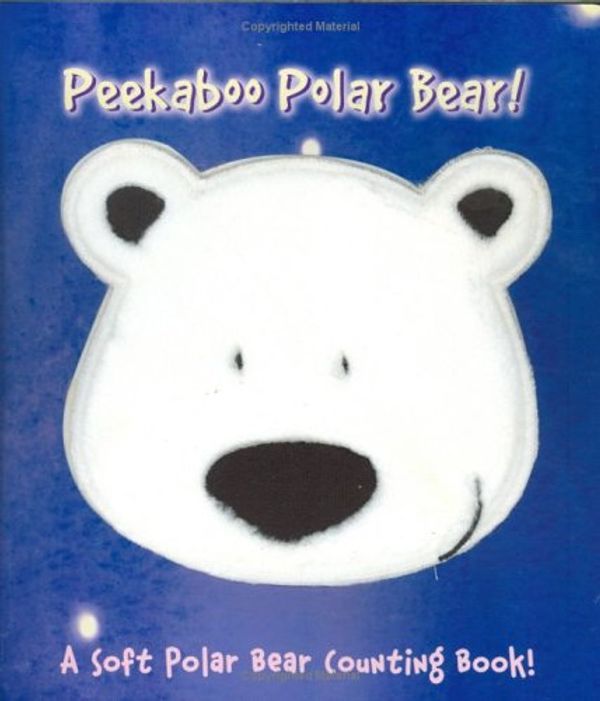 Cover Art for 9781577911869, Peekaboo Polar Bear [Board Book] by Graham Brown and Gary de La Cour and Gary de La Cour (Illustrator)