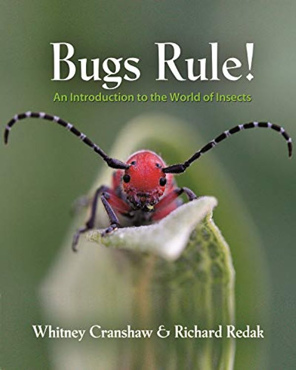 Cover Art for B00DUU0TZI, Bugs Rule!: An Introduction to the World of Insects by Whitney Cranshaw, Richard Redak