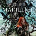 Cover Art for 9781447251767, Heir to Sevenwaters by Juliet Marillier