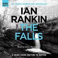 Cover Art for 9781409134909, The Falls by Ian Rankin