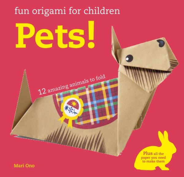 Cover Art for 9781782495802, Fun Origami for Children: Pets!12 Amazing Animals to Fold by Mari Ono