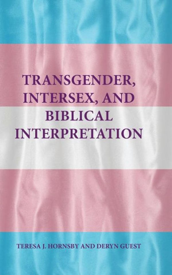 Cover Art for 9781628371352, Transgender, Intersex, and Biblical Interpretation by Teresa J. Hornsby, Deryn Guest