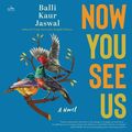 Cover Art for 9780063161634, Now You See Us by Jaswal, Balli Kaur