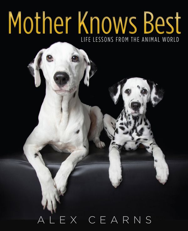 Cover Art for 9780143571612, Mother Knows Best: Life lessons from the animal world by Alex Cearns