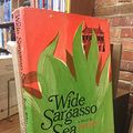 Cover Art for 9780393101690, Wide Sargasso Sea by Jean Rhys