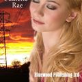 Cover Art for B004G8P1BU, A Diamond In The Dust by Paulette Rae