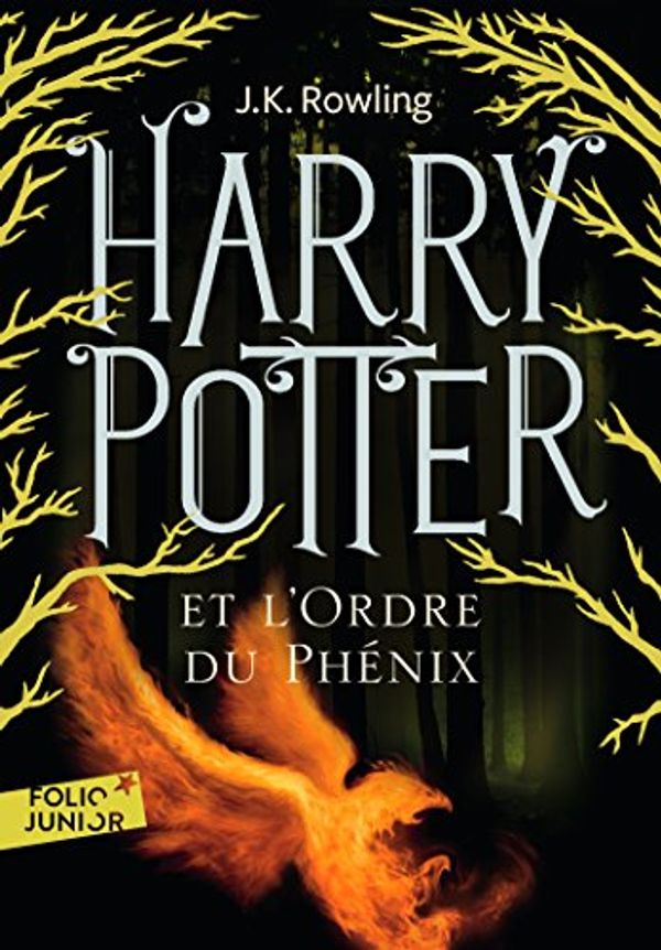 Cover Art for 9782070643066, Harry Potter - French by J. K. Rowling