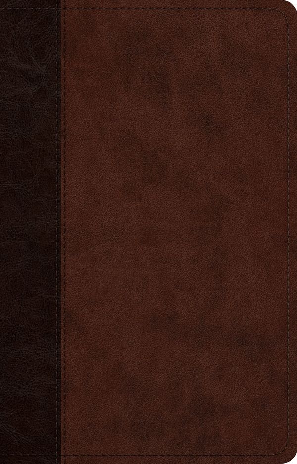 Cover Art for 9781433581670, ESV Large Print Thinline Reference Bible (TruTone, Brown/Walnut, Timeless Design) by Esv Bibles by Crossway