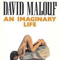 Cover Art for 9780330271882, An Imaginary Life by David Malouf