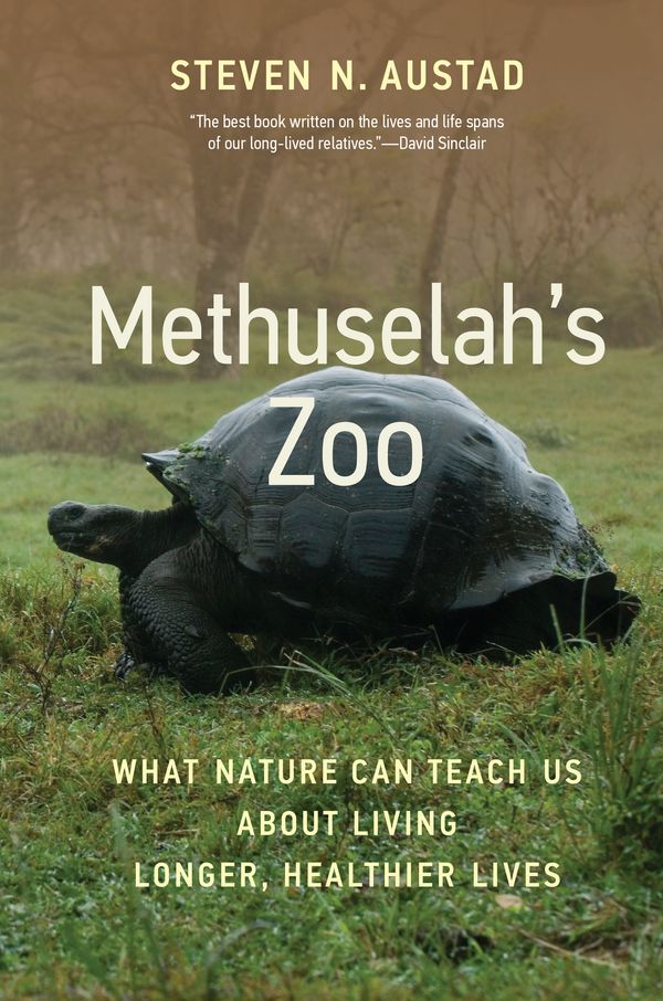 Cover Art for 9780262047098, Methuselah's Zoo by Steven N. Austad