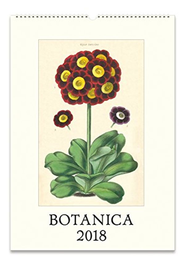 Cover Art for 9781635440645, Cavallini Papers Botanica 2018 Wall Calendar by 