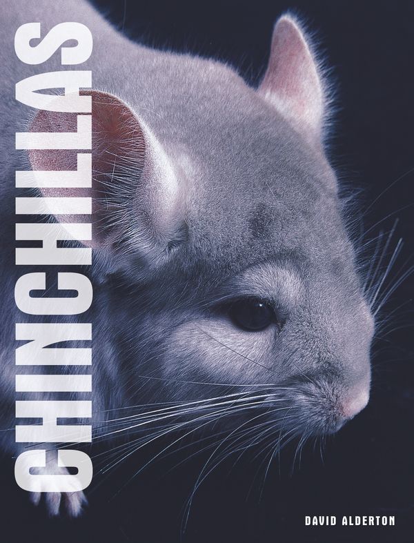 Cover Art for 9780793843350, Your Chinchilla by David Alderton