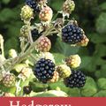 Cover Art for 9781408896358, Hedgerow by John Wright