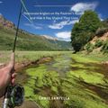 Cover Art for 9781617690242, Why I Fly Fish by Chris Santella