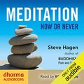 Cover Art for B071YZZ5JP, Meditation Now or Never by Steve Hagen