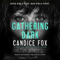 Cover Art for 9781250789754, Gathering Dark by Candice Fox
