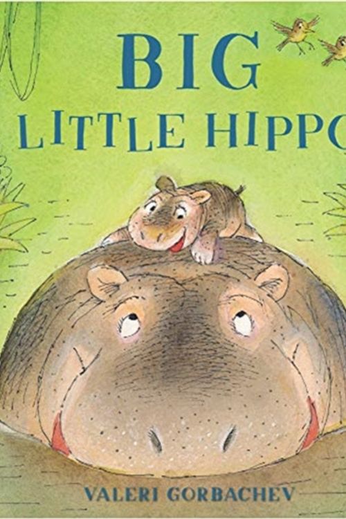 Cover Art for 9781454931317, Big Little Hippo by Valeri Gorbachev