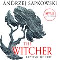Cover Art for 9781478904748, Baptism of Fire by Andrzej Sapkowski