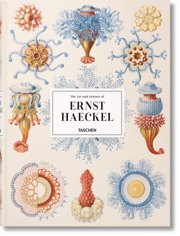 Cover Art for 9783836526463, Ernst Haeckel by Rainer Willmann, Julia Voss