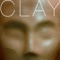 Cover Art for 9780385731713, Clay by David Almond