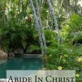 Cover Art for 9781502484666, Abide in Christ by Andrew Murray