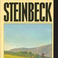 Cover Art for 9780140049985, The pastures of heaven by John Steinbeck