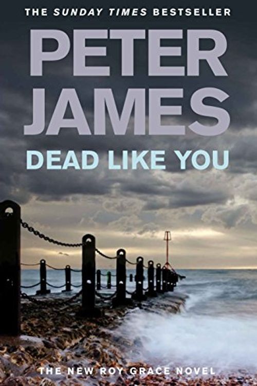 Cover Art for 9780230706873, Dead Like You by Peter James