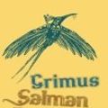 Cover Art for 9780586042892, Grimus by Salman Rushdie